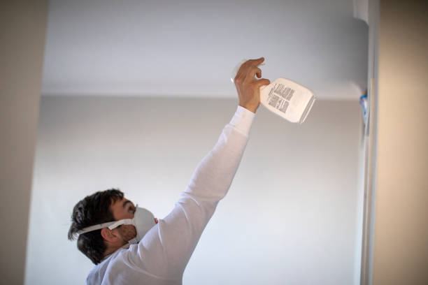 Best Water Damage Restoration  in Idyllwild Pine Cove, CA
